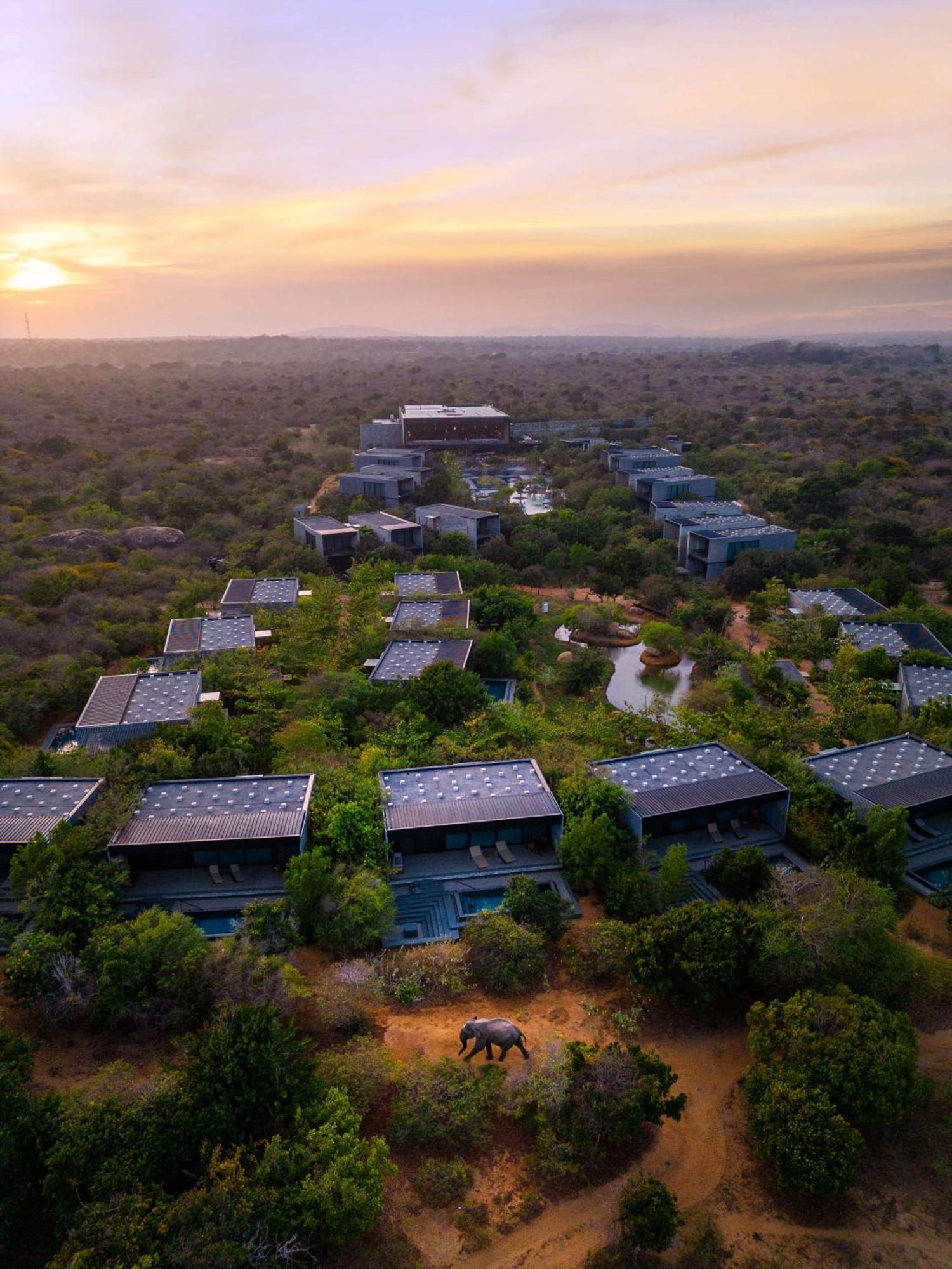 Hilton Yala Resort Zewnętrze zdjęcie